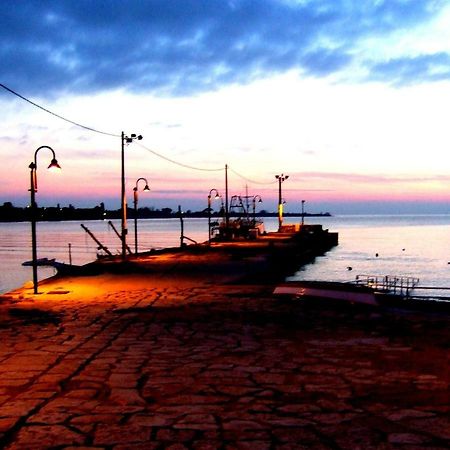 App Segi Apartment Novigrad  Exterior photo