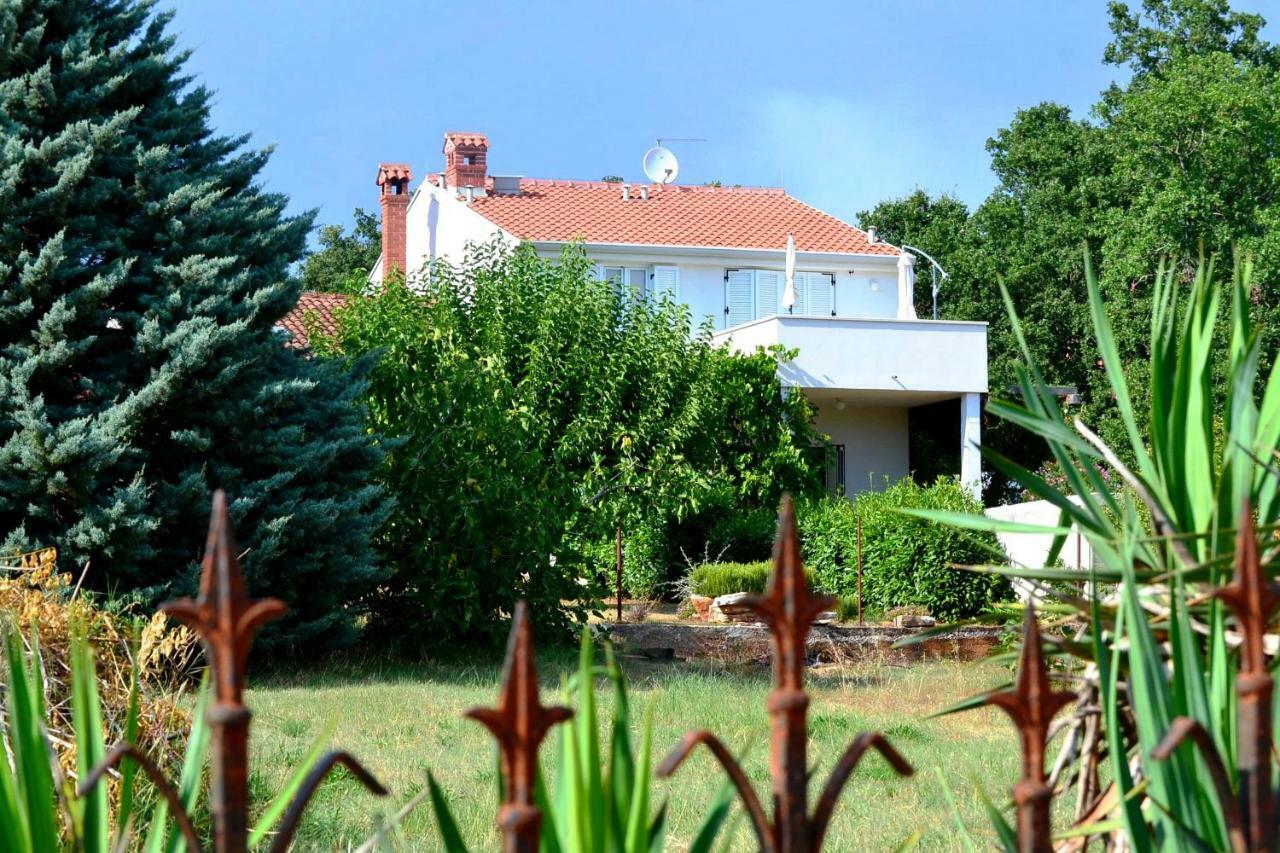 App Segi Apartment Novigrad  Exterior photo
